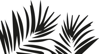 pattern-palm-down-double-big