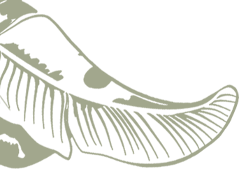 lounge_menu-leaves_left