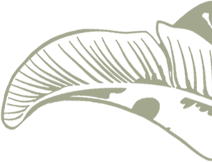 lounge_menu-leaves_right