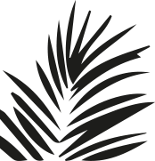 pattern-palm-down-single