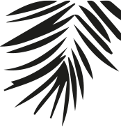 pattern-palm-up